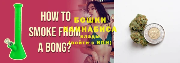 твердый Козельск