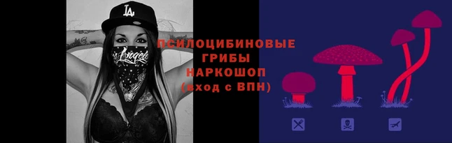 герыч Кинешма