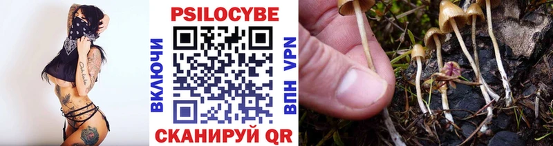 Купить  Инсар  Галлюциногенные грибы мухоморы 